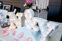 Mayfair Lakes Golf Club Wedding (Audrey & Neil)_4