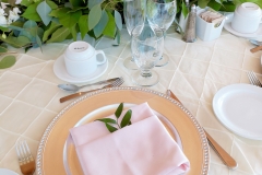 Mayfair Lakes Golf Club Wedding (Audrey & Neil)_9