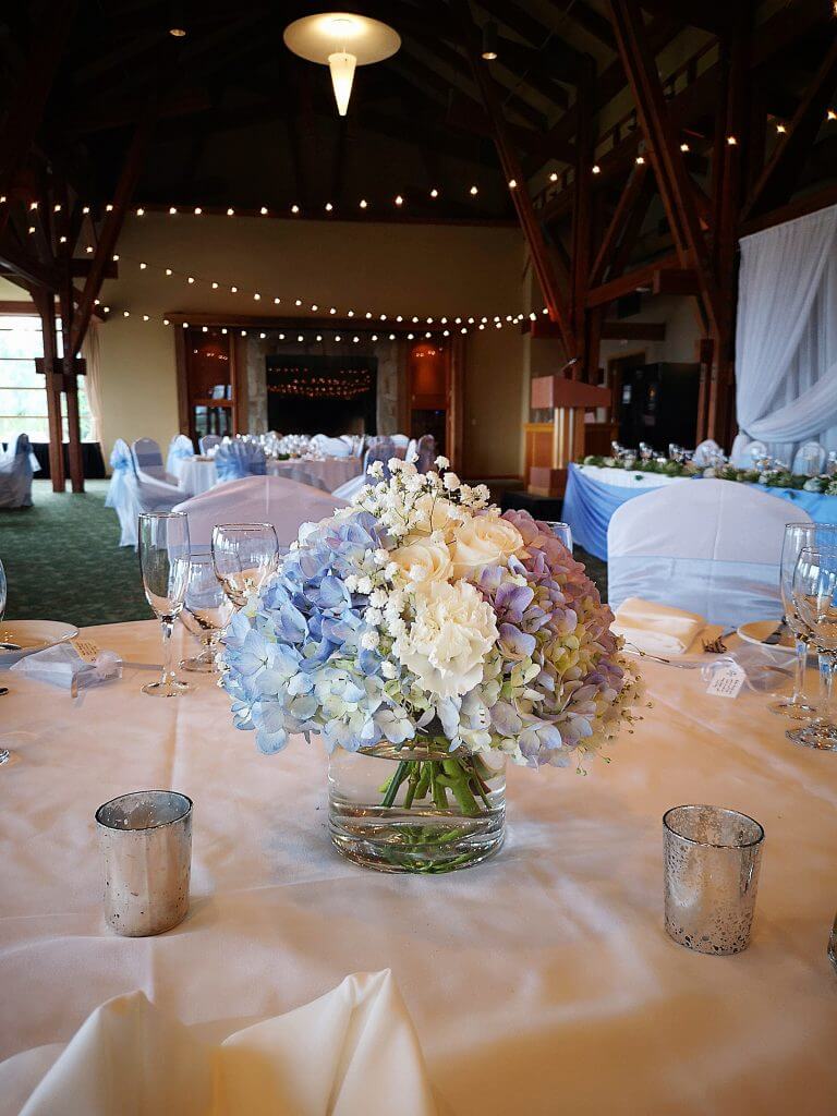 Nicole & Kyle – Westwood Plateau