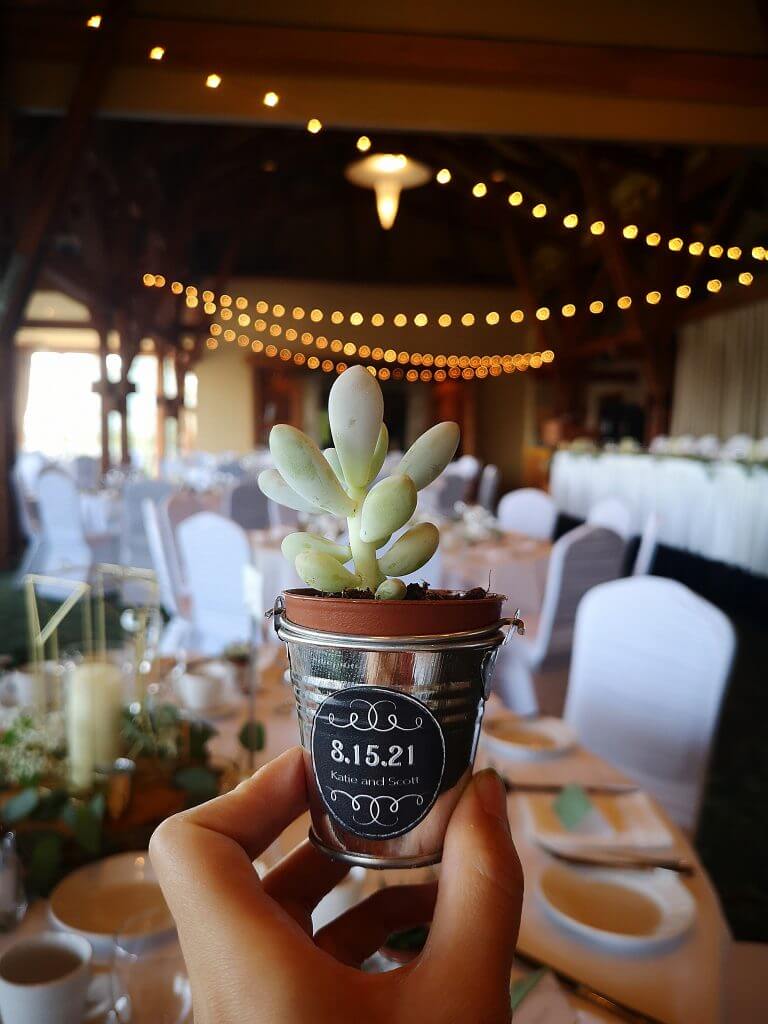 Katelyn & Scott – Westwood Plateau